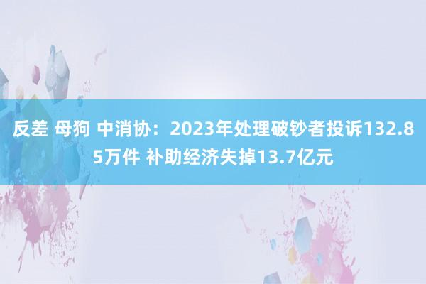 反差 母狗 中消协：2023年处理破钞者投诉132.85万件 补助经济失掉13.7亿元