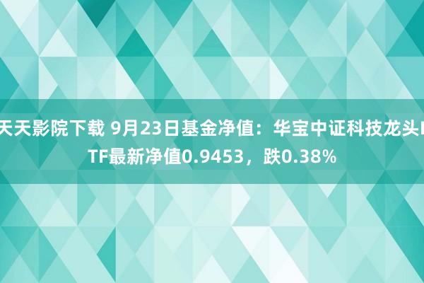 天天影院下载 9月23日基金净值：华宝中证科技龙头ETF最新净值0.9453，跌0.38%