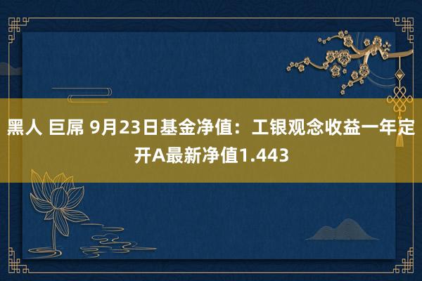 黑人 巨屌 9月23日基金净值：工银观念收益一年定开A最新净值1.443