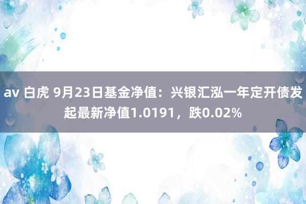 av 白虎 9月23日基金净值：兴银汇泓一年定开债发起最新净值1.0191，跌0.02%