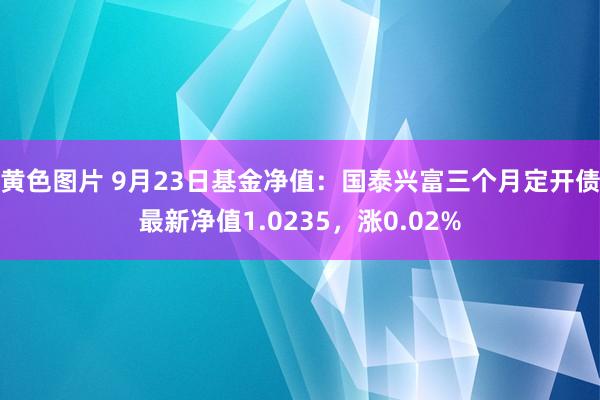 黄色图片 9月23日基金净值：国泰兴富三个月定开债最新净值1.0235，涨0.02%