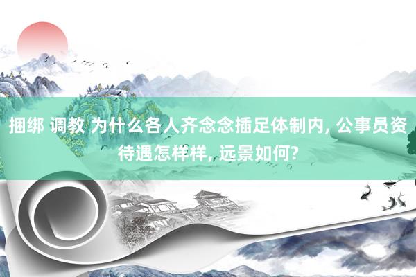 捆绑 调教 为什么各人齐念念插足体制内， 公事员资待遇怎样样， 远景如何?