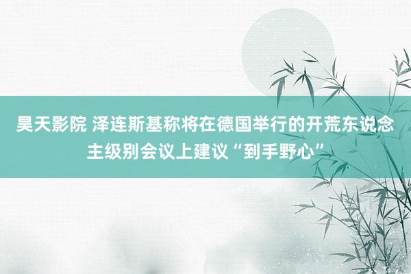 昊天影院 泽连斯基称将在德国举行的开荒东说念主级别会议上建议“到手野心”