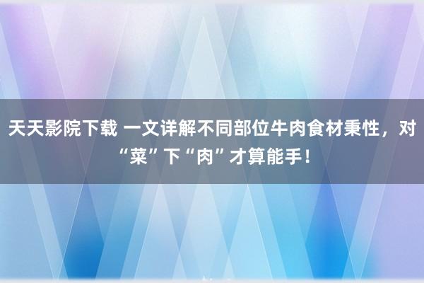 天天影院下载 一文详解不同部位牛肉食材秉性，对“菜”下“肉”才算能手！