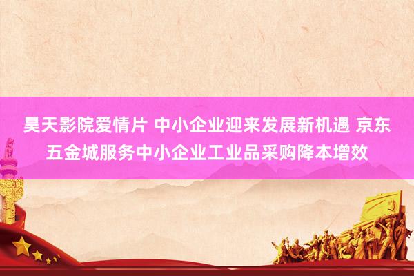 昊天影院爱情片 中小企业迎来发展新机遇 京东五金城服务中小企业工业品采购降本增效