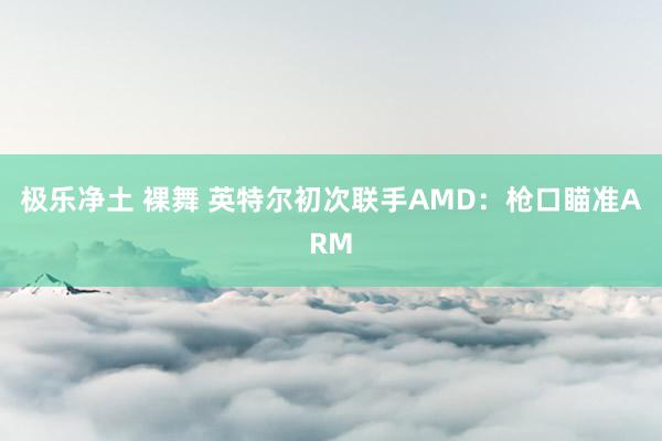 极乐净土 裸舞 英特尔初次联手AMD：枪口瞄准ARM