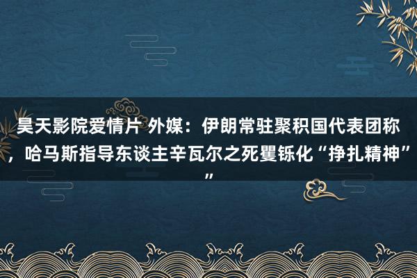 昊天影院爱情片 外媒：伊朗常驻聚积国代表团称，哈马斯指导东谈主辛瓦尔之死矍铄化“挣扎精神”