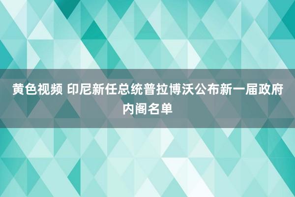 黄色视频 印尼新任总统普拉博沃公布新一届政府内阁名单