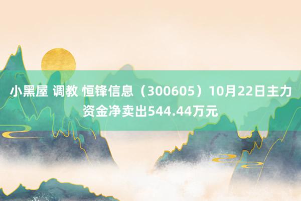 小黑屋 调教 恒锋信息（300605）10月22日主力资金净卖出544.44万元