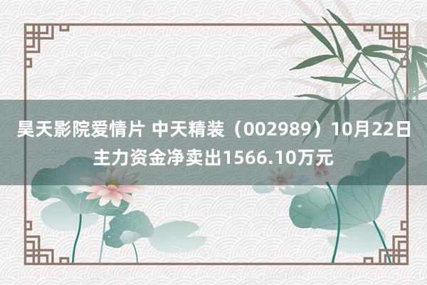 昊天影院爱情片 中天精装（002989）10月22日主力资金净卖出1566.10万元