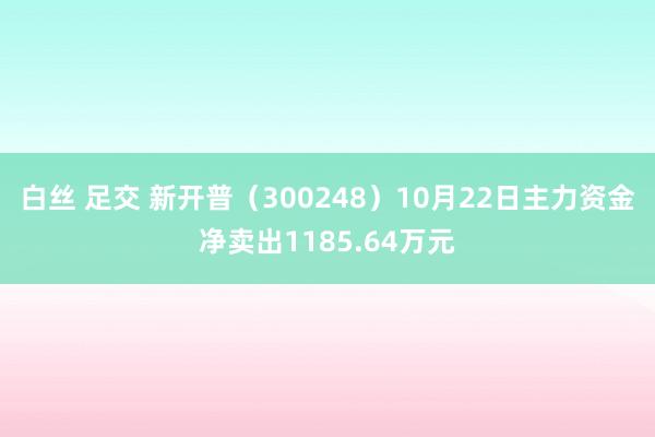 白丝 足交 新开普（300248）10月22日主力资金净卖出1185.64万元