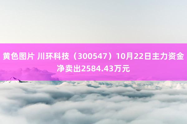 黄色图片 川环科技（300547）10月22日主力资金净卖出2584.43万元