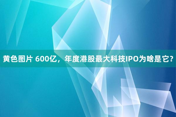 黄色图片 600亿，年度港股最大科技IPO为啥是它？