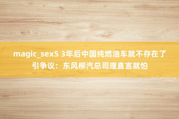 magic_sex5 3年后中国纯燃油车就不存在了引争议：东风柳汽总司理直言就怕