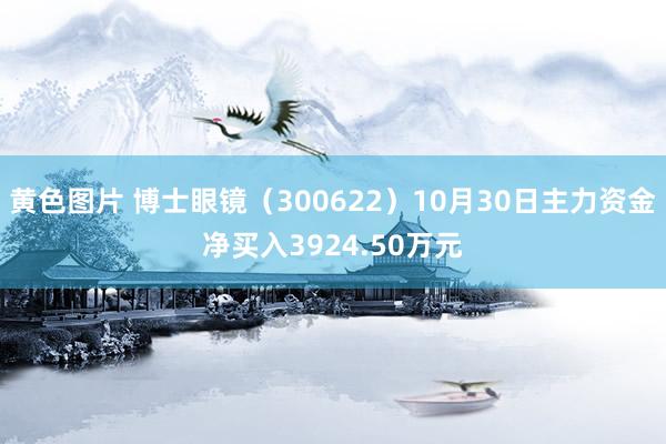 黄色图片 博士眼镜（300622）10月30日主力资金净买入3924.50万元