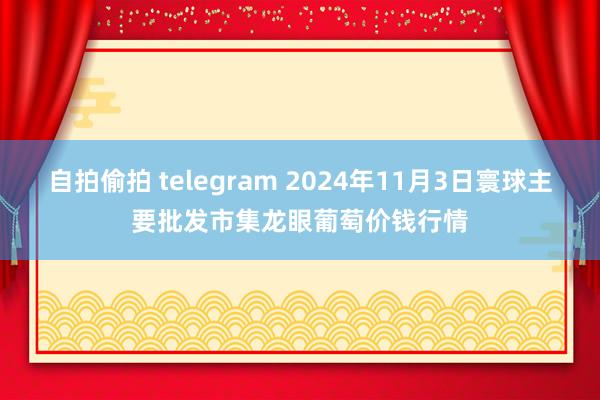 自拍偷拍 telegram 2024年11月3日寰球主要批发市集龙眼葡萄价钱行情