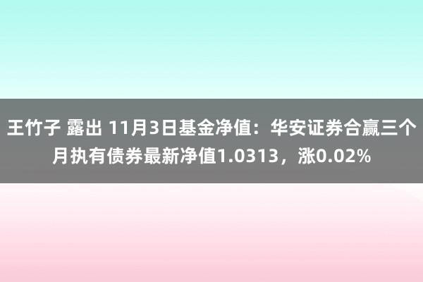 王竹子 露出 11月3日基金净值：华安证券合赢三个月执有债券最新净值1.0313，涨0.02%