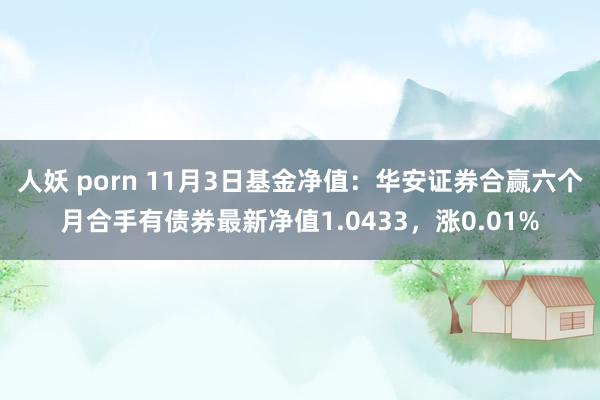 人妖 porn 11月3日基金净值：华安证券合赢六个月合手有债券最新净值1.0433，涨0.01%