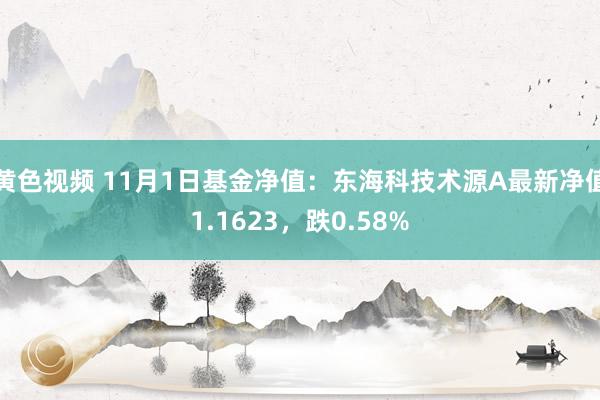 黄色视频 11月1日基金净值：东海科技术源A最新净值1.1623，跌0.58%