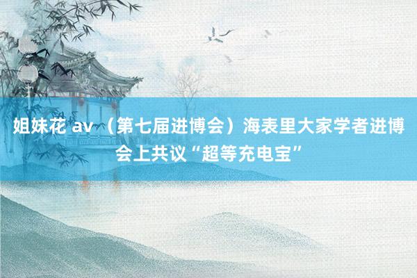 姐妹花 av （第七届进博会）海表里大家学者进博会上共议“超等充电宝”