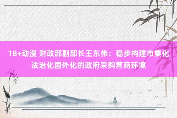 18+动漫 财政部副部长王东伟：稳步构建市集化法治化国外化的政府采购营商环境