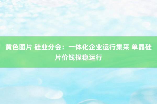 黄色图片 硅业分会：一体化企业运行集采 单晶硅片价钱捏稳运行