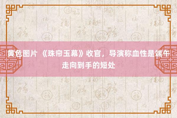 黄色图片 《珠帘玉幕》收官，导演称血性是端午走向到手的短处