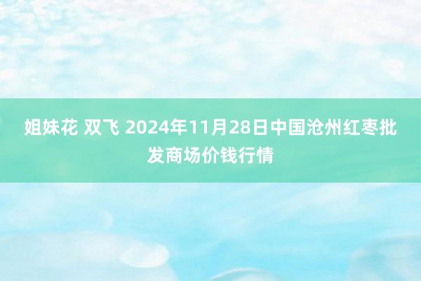 姐妹花 双飞 2024年11月28日中国沧州红枣批发商场价钱行情