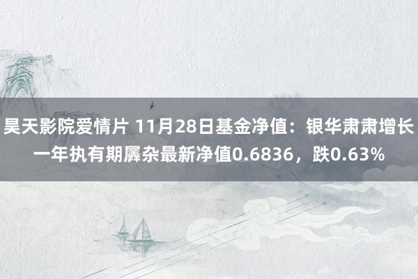 昊天影院爱情片 11月28日基金净值：银华肃肃增长一年执有期羼杂最新净值0.6836，跌0.63%