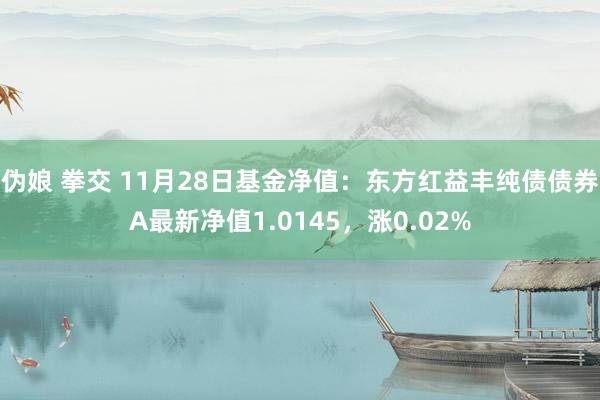 伪娘 拳交 11月28日基金净值：东方红益丰纯债债券A最新净值1.0145，涨0.02%