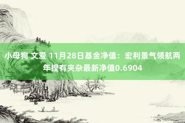 小母狗 文爱 11月28日基金净值：宏利景气领航两年捏有夹杂最新净值0.6904