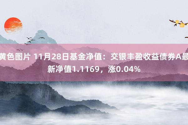 黄色图片 11月28日基金净值：交银丰盈收益债券A最新净值1.1169，涨0.04%