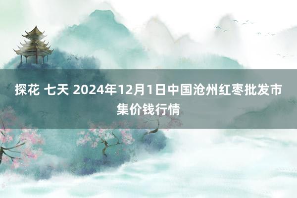 探花 七天 2024年12月1日中国沧州红枣批发市集价钱行情