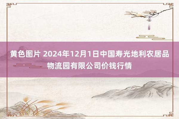 黄色图片 2024年12月1日中国寿光地利农居品物流园有限公司价钱行情