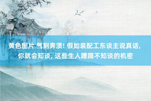 黄色图片 气到奔溃! 假如装配工东谈主说真话， 你就会知谈， 这些生人蹧蹋不知谈的机密