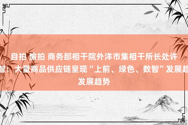 自拍 偷拍 商务部相干院外洋市集相干所长处许睿智：大量商品供应链呈现“上前、绿色、数智”发展趋势