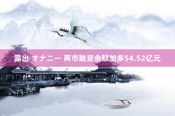 露出 オナニー 两市融资余额加多54.52亿元