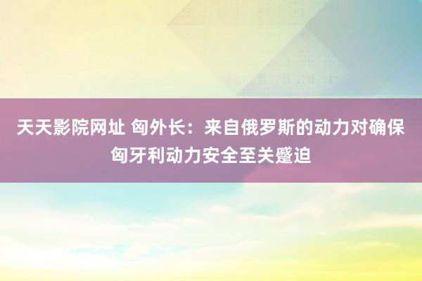 天天影院网址 匈外长：来自俄罗斯的动力对确保匈牙利动力安全至关蹙迫