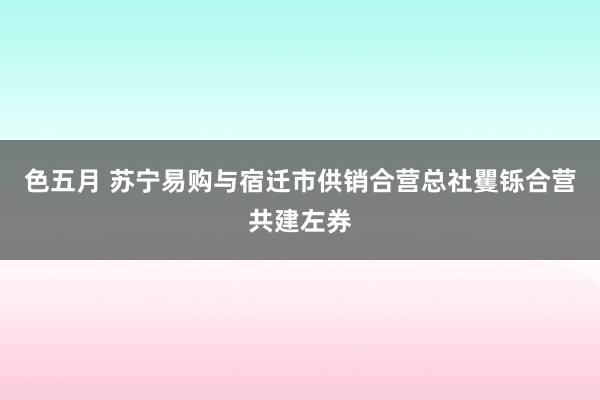 色五月 苏宁易购与宿迁市供销合营总社矍铄合营共建左券