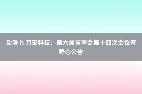 动漫 h 万安科技：第六届董事会第十四次会议有野心公告