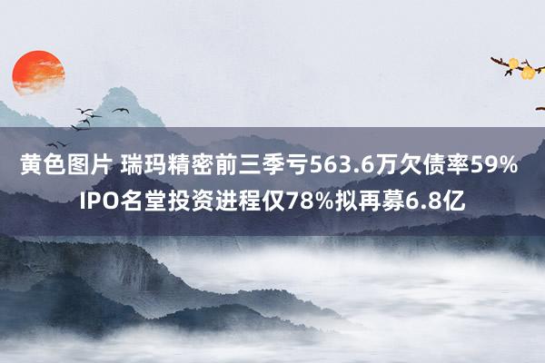 黄色图片 瑞玛精密前三季亏563.6万欠债率59% IPO名堂投资进程仅78%拟再募6.8亿