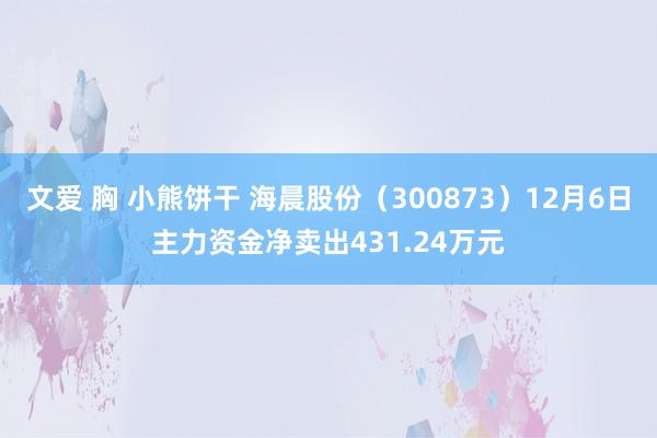 文爱 胸 小熊饼干 海晨股份（300873）12月6日主力资金净卖出431.24万元