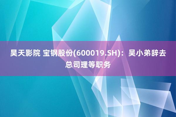 昊天影院 宝钢股份(600019.SH)：吴小弟辞去总司理等职务