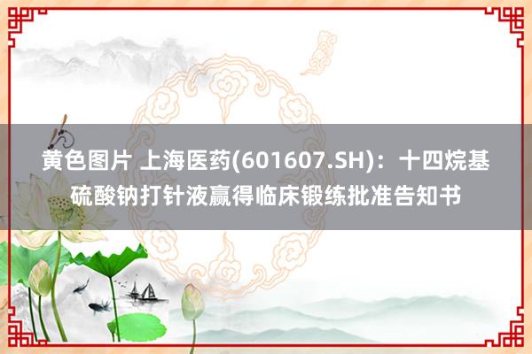 黄色图片 上海医药(601607.SH)：十四烷基硫酸钠打针液赢得临床锻练批准告知书