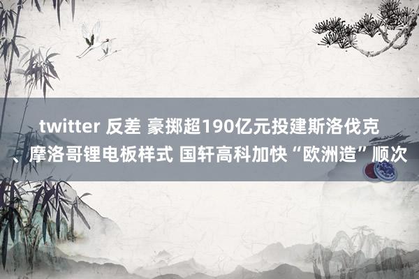 twitter 反差 豪掷超190亿元投建斯洛伐克、摩洛哥锂电板样式 国轩高科加快“欧洲造”顺次