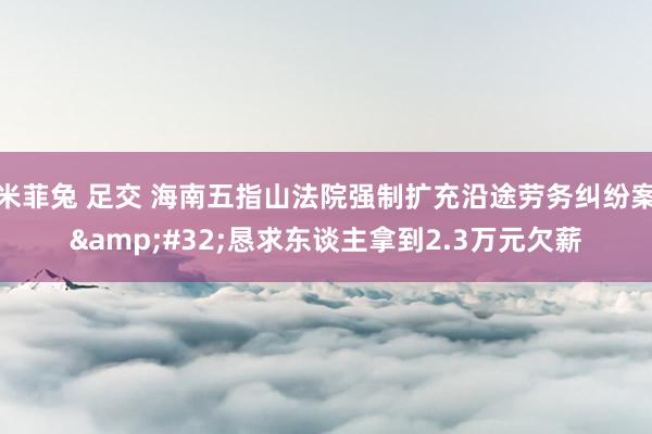 米菲兔 足交 海南五指山法院强制扩充沿途劳务纠纷案&#32;恳求东谈主拿到2.3万元欠薪