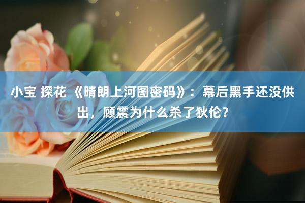 小宝 探花 《晴朗上河图密码》：幕后黑手还没供出，顾震为什么杀了狄伦？