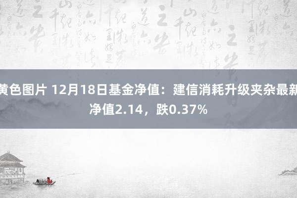 黄色图片 12月18日基金净值：建信消耗升级夹杂最新净值2.14，跌0.37%