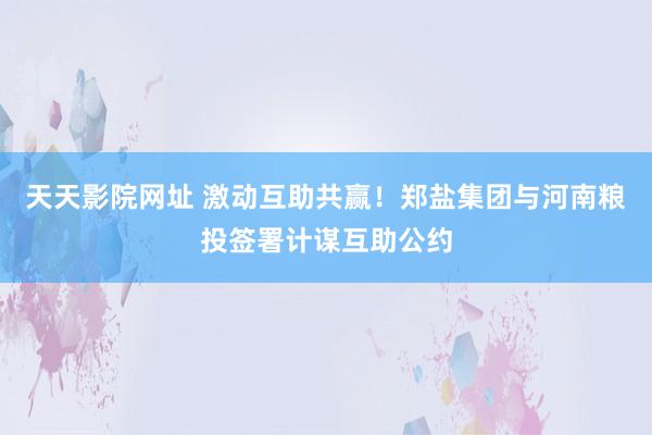 天天影院网址 激动互助共赢！郑盐集团与河南粮投签署计谋互助公约