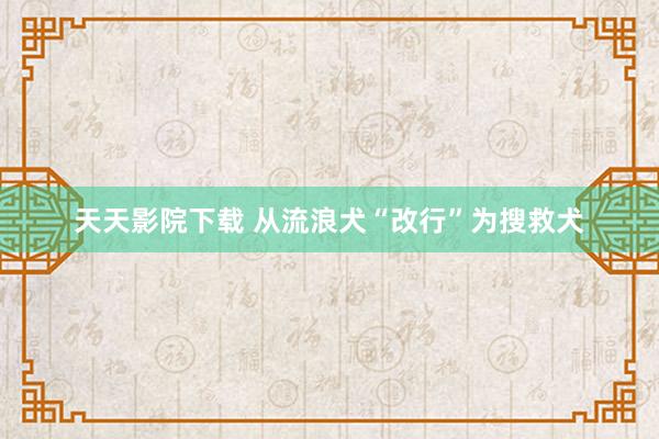 天天影院下载 从流浪犬“改行”为搜救犬